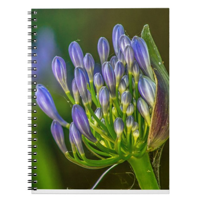Carnet Purple flower Spiral Photo Notebook (Devant)