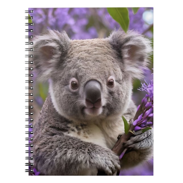 Carnet Purple Jacaranda Koala Ours, (Devant)