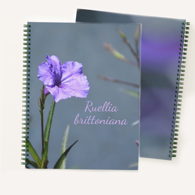 Carnet Purple Mexicain Petunia Floral Personnalisable (Créateur téléchargé)