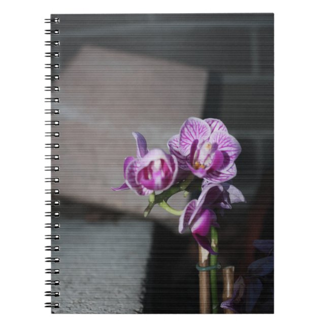 Carnet Purple Orchid (Devant)