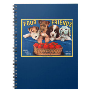 Carnet Quatre amis
