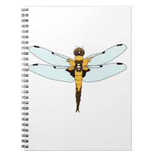 Carnet quatre libellules tachetées