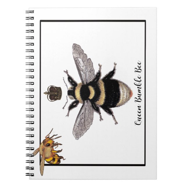 Carnet Queen Bumble Bee (Devant)