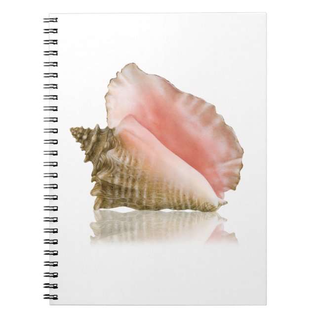 Carnet Queen Conch (Devant)