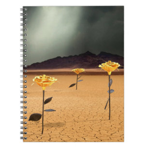 Carnet Quelque part n° 3
