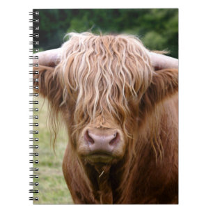 Carnet Qui a éteint les lumières Notebook