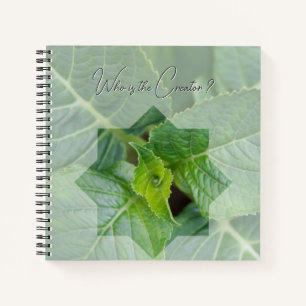 Carnet "Qui est le Créateur?"