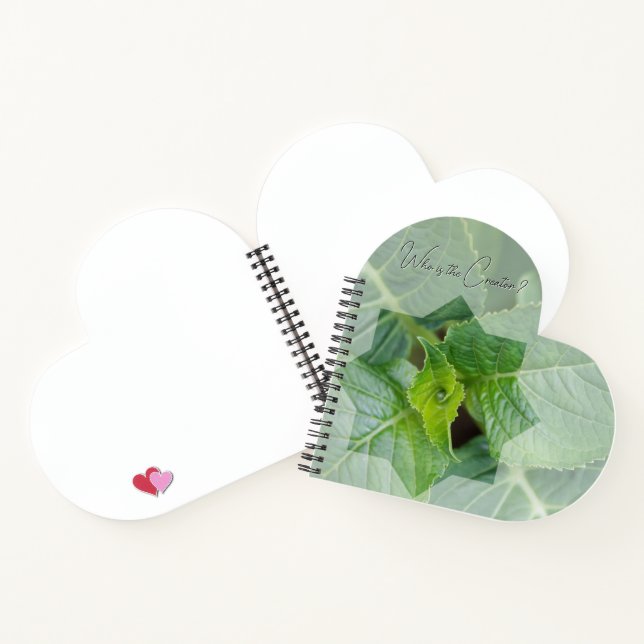 Carnet "Qui est le Créateur?" (Intérieur)