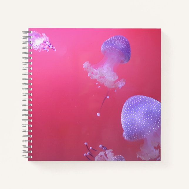Carnet Quirky Jellyfish in the Pink Water (Devant)