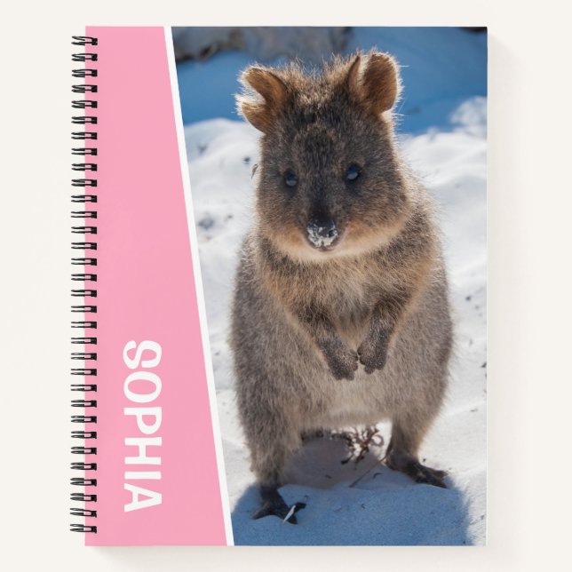 Carnet Quokka on the Beach Australia, Pink Accent Girls (Devant)