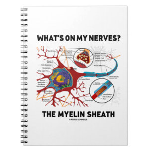 Carnet Qu'y a-t-il sur mes nerfs ? Le Myelin Sheath