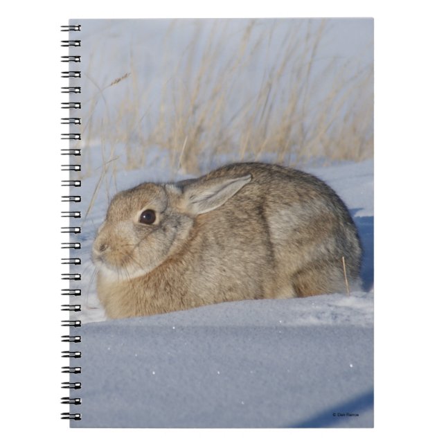Carnet Rabbit de coton R5 en neige (Devant)