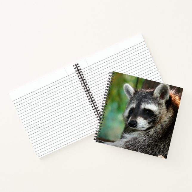 Carnet Raccoon 001 (Intérieur)