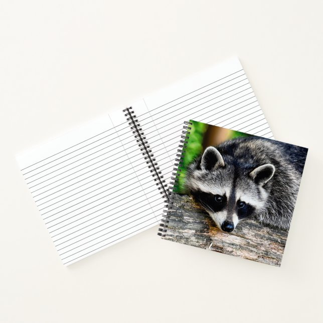 Carnet Raccoon 003 (Intérieur)