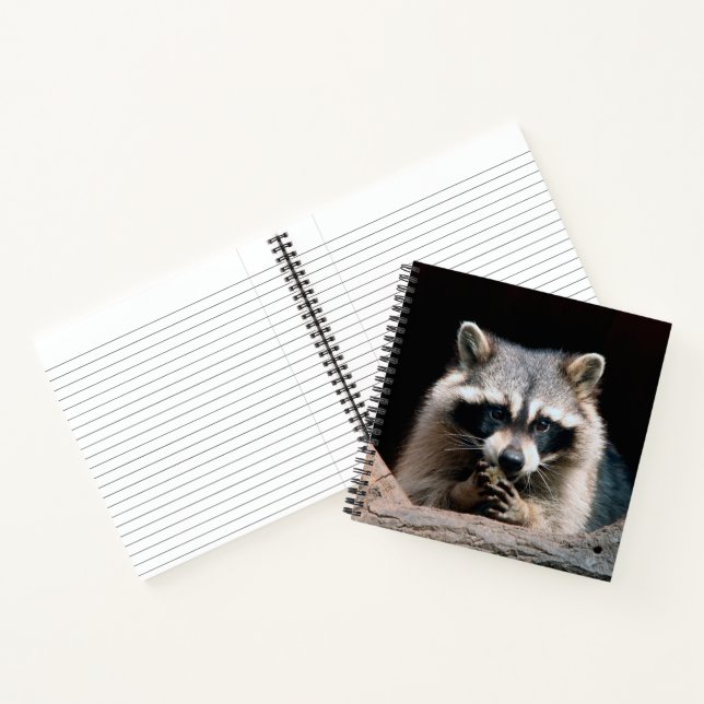 Carnet Raccoon 004 (Intérieur)