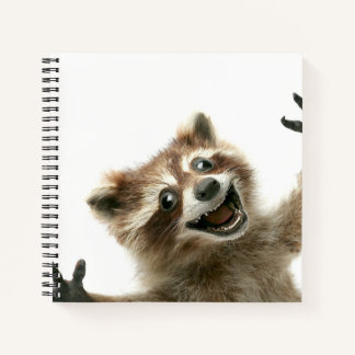 Carnet raccoon furieusement heureux