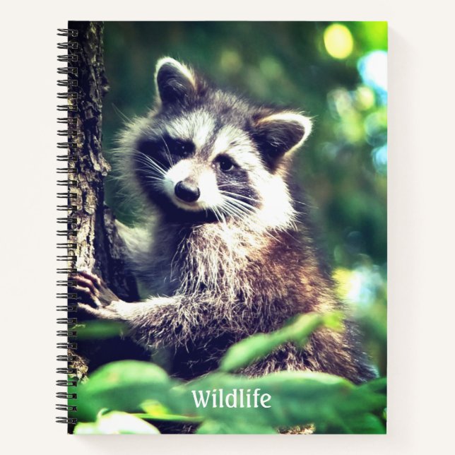 Carnet Raccoon sauvage dans la jungle (Devant)