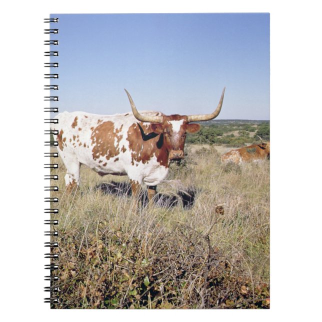 Carnet Race du Texas Longhorn (photo) (Devant)