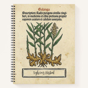 Carnet Racine de Galanga : La Recette Médiévale de l'Apot