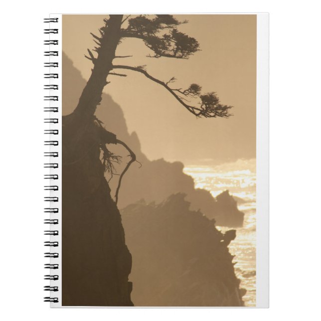 Carnet Racines profondes (Devant)