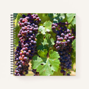Carnet Raisins