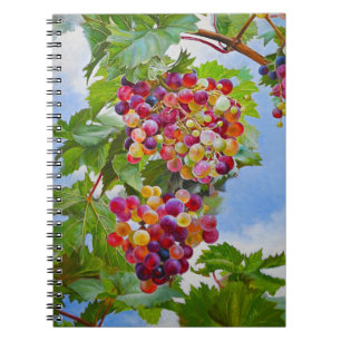 Carnet Raisins colorés Toujours Vie Peinture Calendrier 2