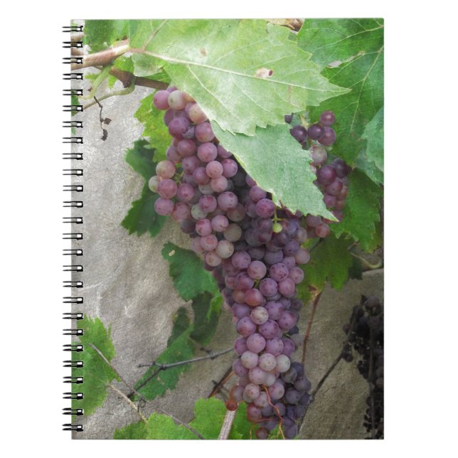 Carnet Raisins pourpres sur la vigne (Devant)