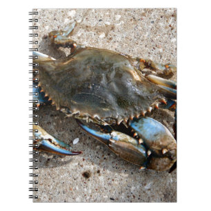 Carnet Rampement de crabe bleu