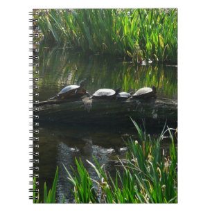 Carnet Rangée de tortues Green Nature Photo