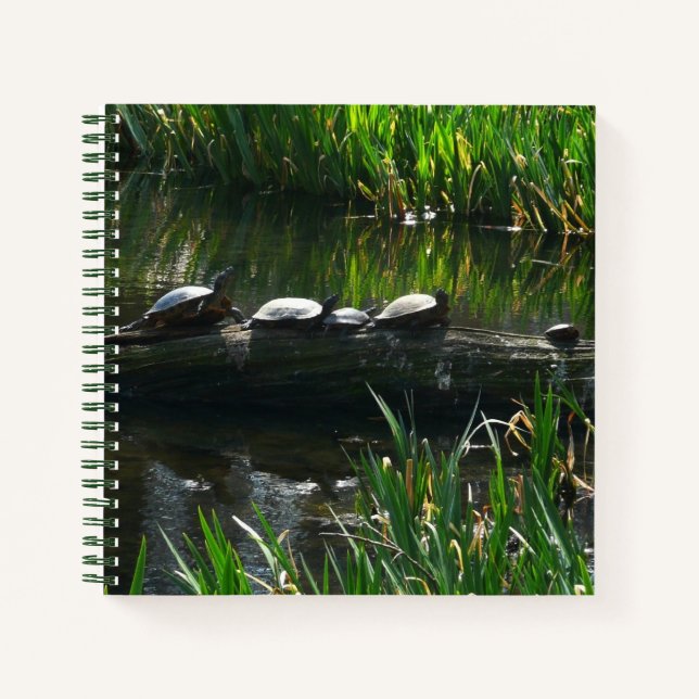 Carnet Rangée de tortues photo verte de la nature (Devant)