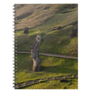 Carnet Rano Raraku, Rapa Nui, Île de Pâques, Chili
