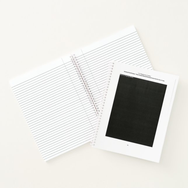 Carnet Rapport Mueller Retrait Page 30 HOM (Intérieur)