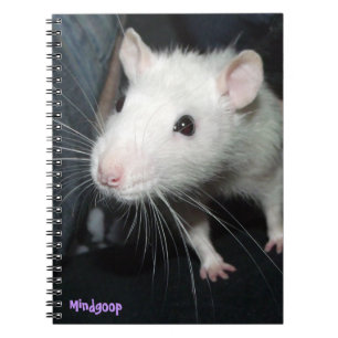 Carnet rat amical