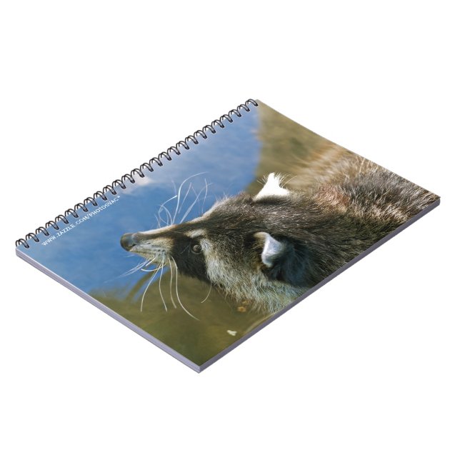 Carnet Raton laveur (Côté gauche)