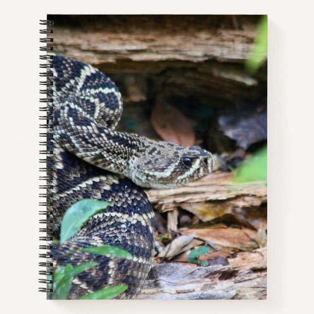 Carnet Rattlesnake In The Wild (Devant)