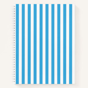 Carnet Rayoires verticales classiques bleu bébé clair et
