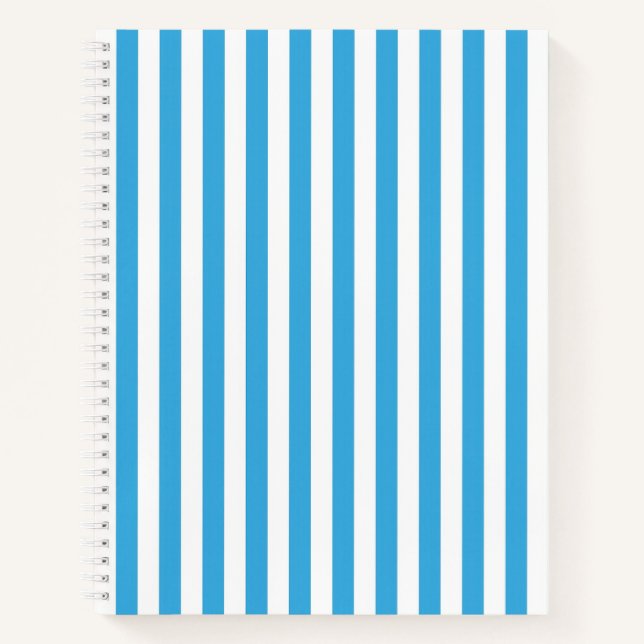 Carnet Rayoires verticales classiques bleu bébé clair et  (Devant)