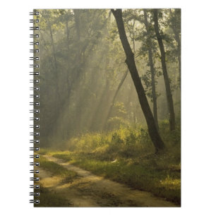 Carnet Rayons de lumière du matin à travers les arbres da