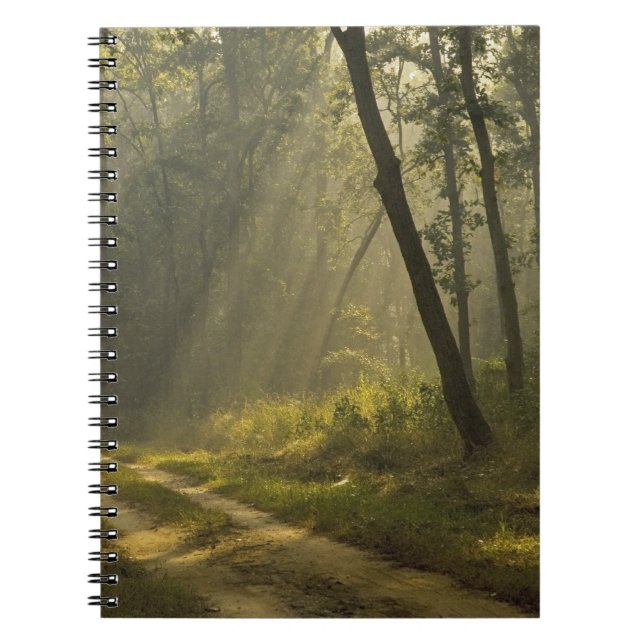Carnet Rayons de lumière du matin à travers les arbres da (Devant)