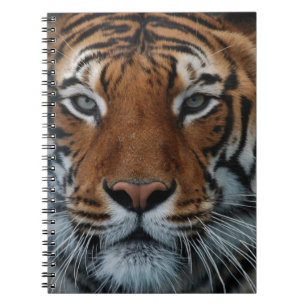 Carnet Rayures de chat tigre Brouillard de la jungle Anim