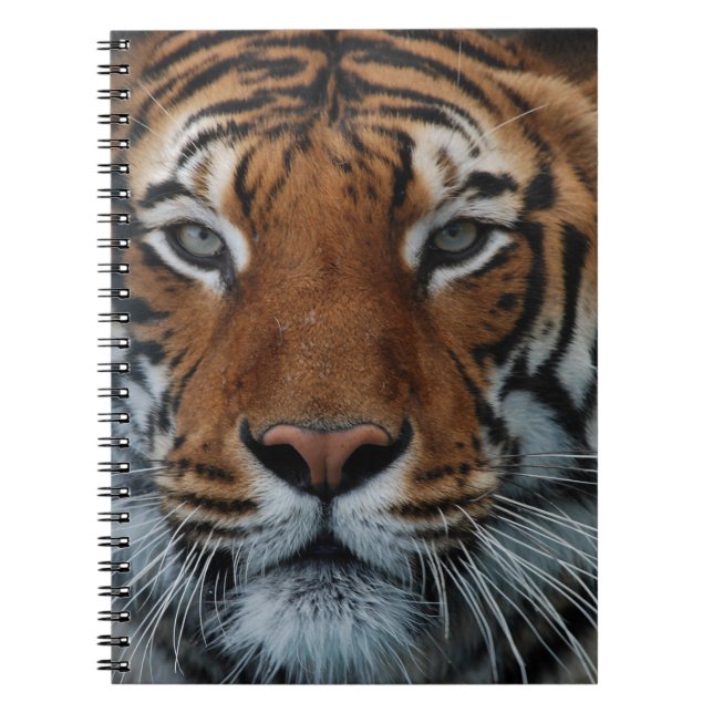 Carnet Rayures de chat tigre Brouillard de la jungle Anim (Devant)