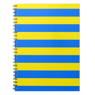 Carnet Rayures jaunes et bleues