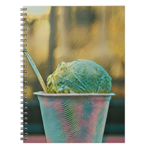 Carnet Recette de glace