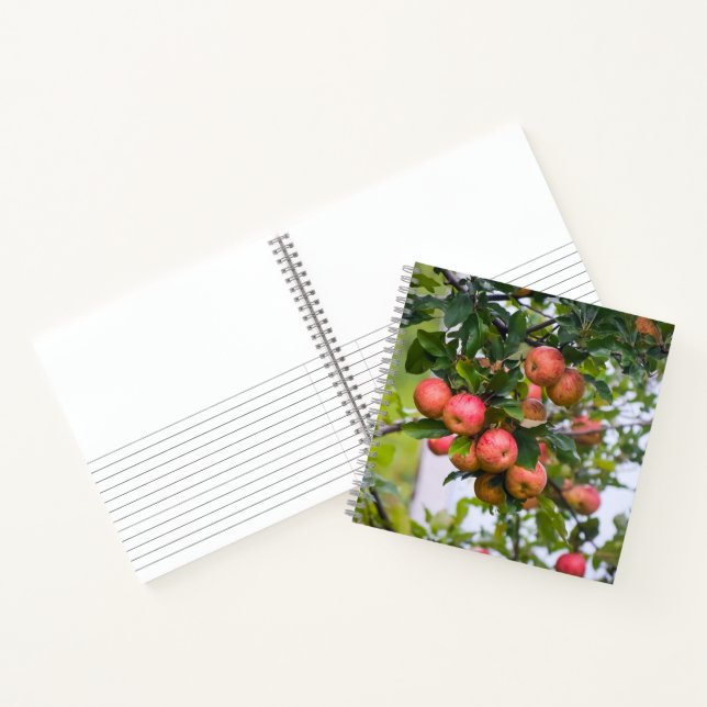 Carnet Recette de sauce pomme (Intérieur)