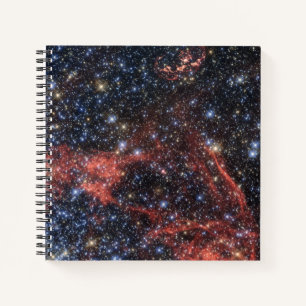 Carnet Recherche De Survivant Stellaire De Supernova Expl