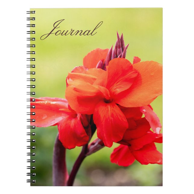 Carnet Red Lily (Devant)