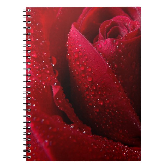 Carnet Red Macro Rose with Water Droplets (Devant)