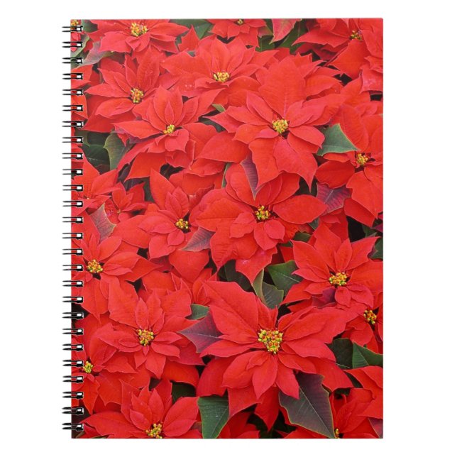 Carnet Red Poinsettias I Christmas Holiday Floral Photo (Devant)