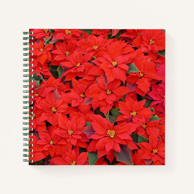 Carnet Red Poinsettias I Christmas Holiday Floral Photo (Devant)