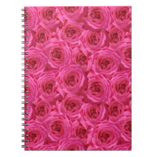Carnet Red roses, flowers, red, love